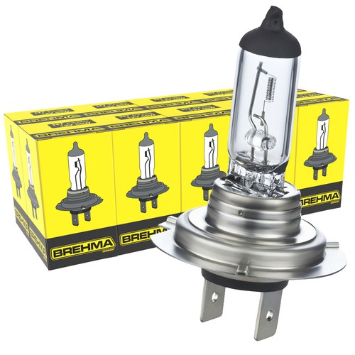 10x birnen 12v 55w - 10x, lampen